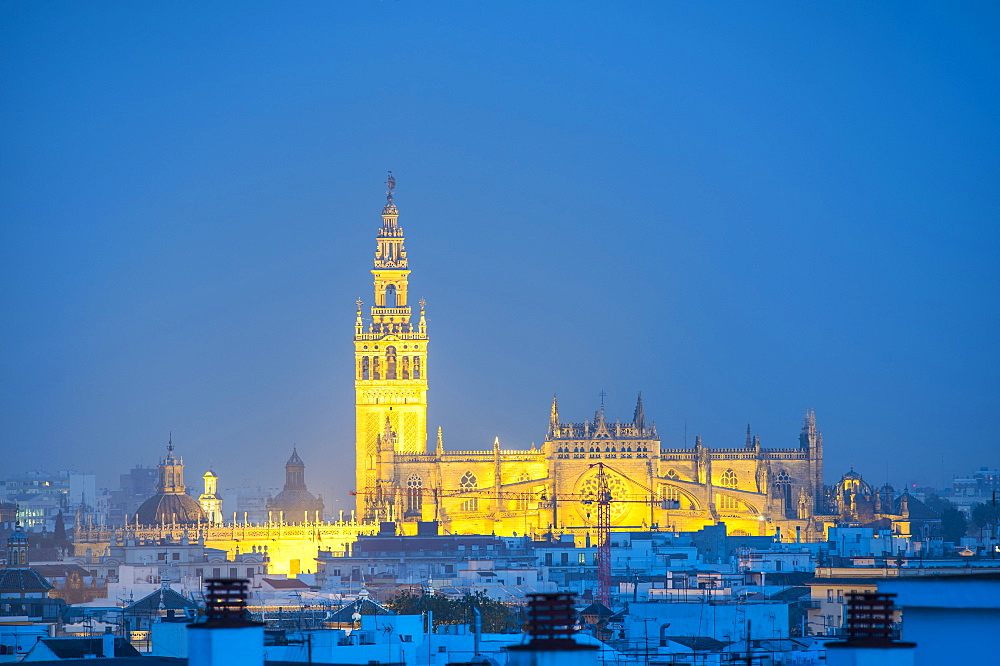 Spain, Seville, Giralda and Cathedral of Seville at dusk