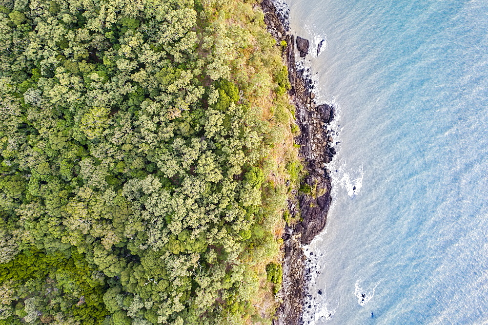 Australia, Queensland, Rainforest by sea (Drone)