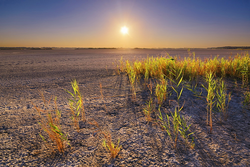 Ukraine, Dnepropetrovsk Region, Novomoskovskiy District, Lake Soleniy Lyman, Desert at sunset