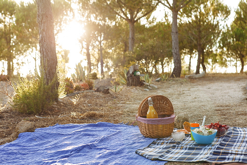 Picnic under trees