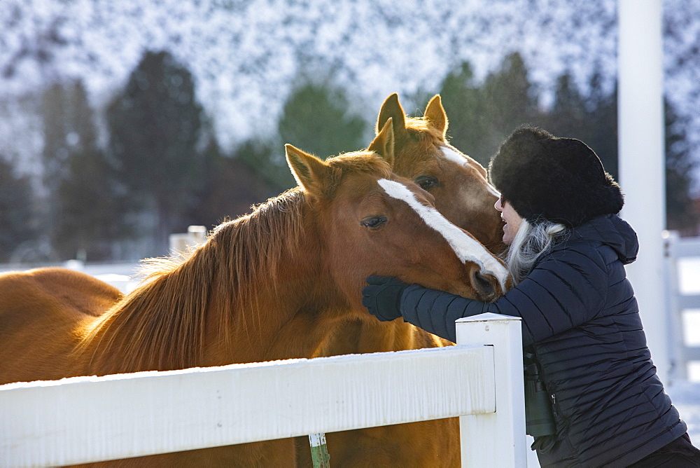 Woman wearing fur hat stroking horses