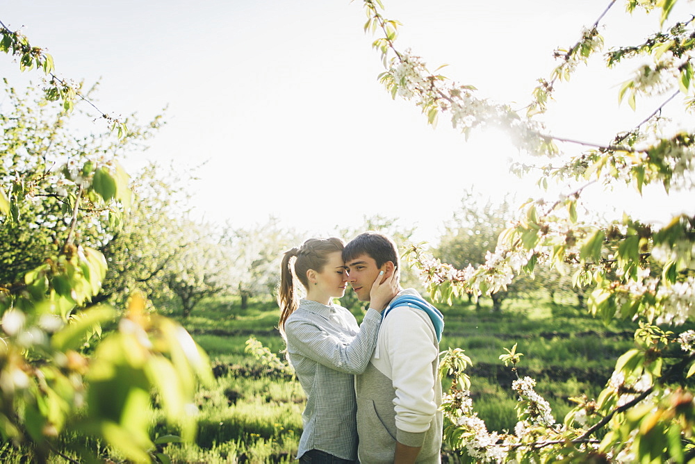 Young couple embracing by trees
