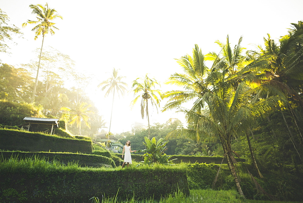 Woman wearing white dress on terraced rice paddies in Bali, Indonesia