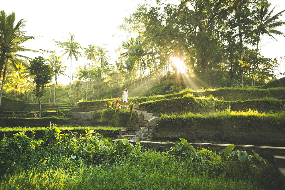 Woman wearing white dress on terraced rice paddies in Bali, Indonesia