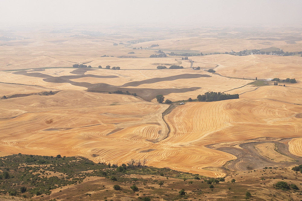 Rural landscape in Palouse, Washington, USA