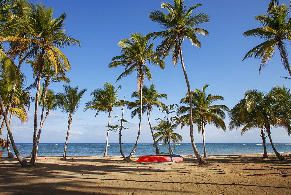Red boat under palm trees on beach in Las Terrenas, Dominican Republic