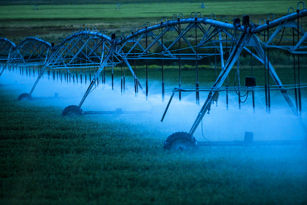 Irrigation system spraying crop field at sunset