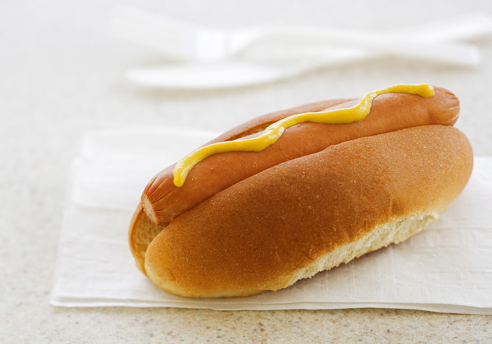 Close up of hot dog in bun