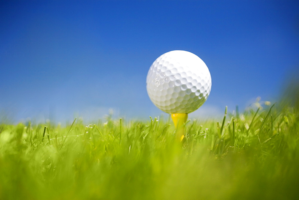 Golf ball on tee in grass outdoors