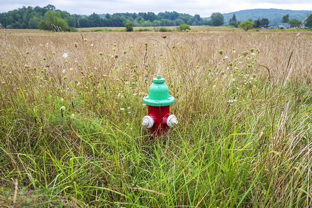 Fire hydrant in field in Dalton, Massachusetts, United States of America