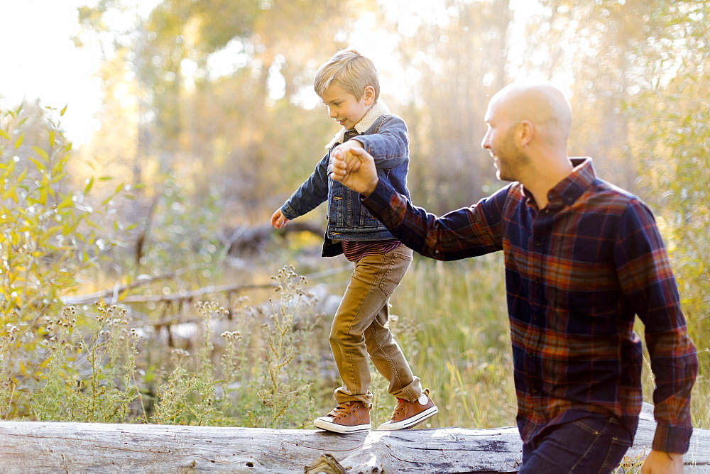 Man holding son's hand as he walks on fallen tree