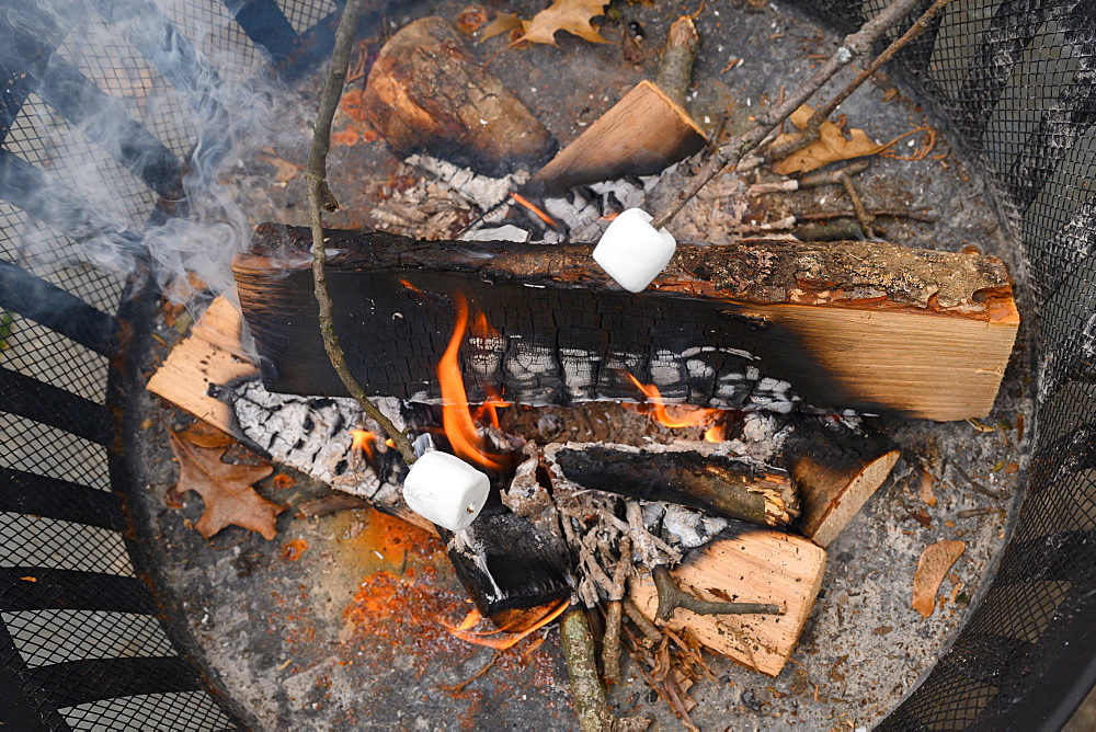 Fire pit with roasted marshmallows on sticks