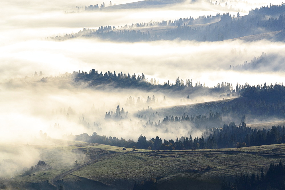 Ukraine, Zakarpattia region, Carpathians, Borzhava, Foggy hills of Carpathian Mountains at sunrise