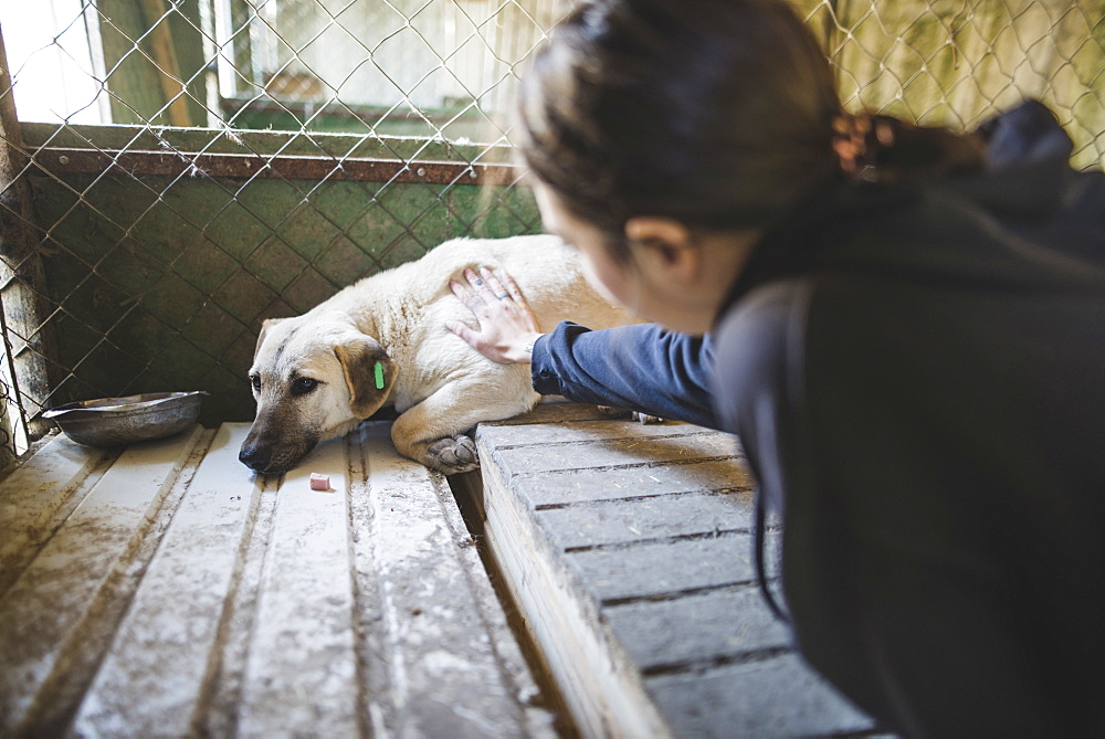 Young woman petting sad dog in the animal shelter