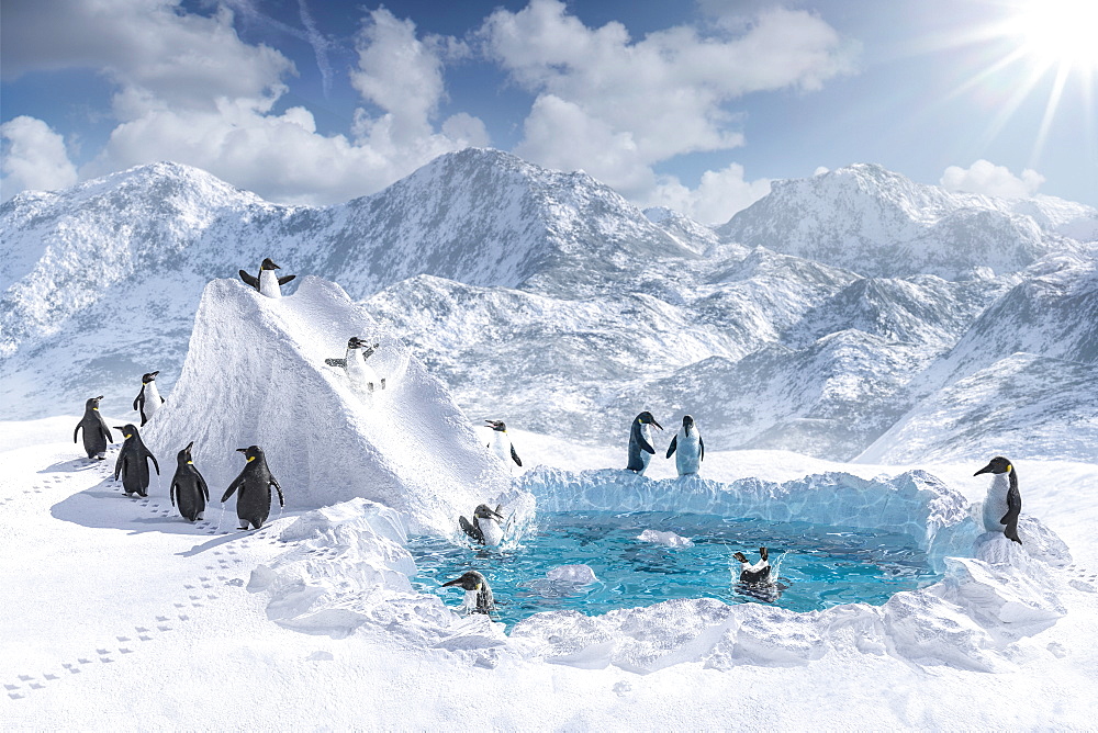 Penguins playing on slide and in pool