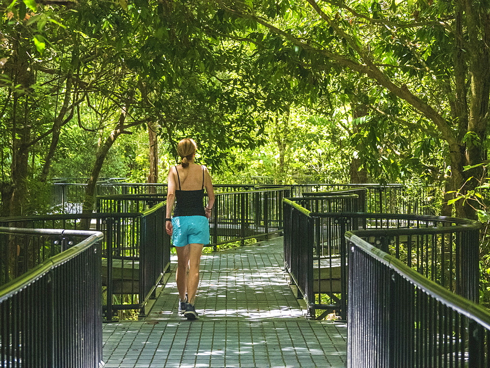 Woman walking on footpath in forest