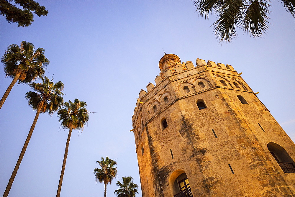 Spain, Seville, Torre Del Oro, Low angle view of Torre del Oro and palm trees