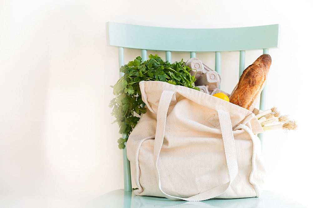 Groceries in reusable shopping bag