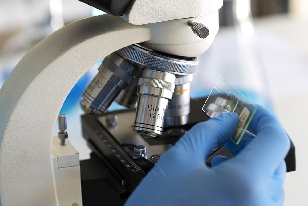 Laboratory technician using microscope