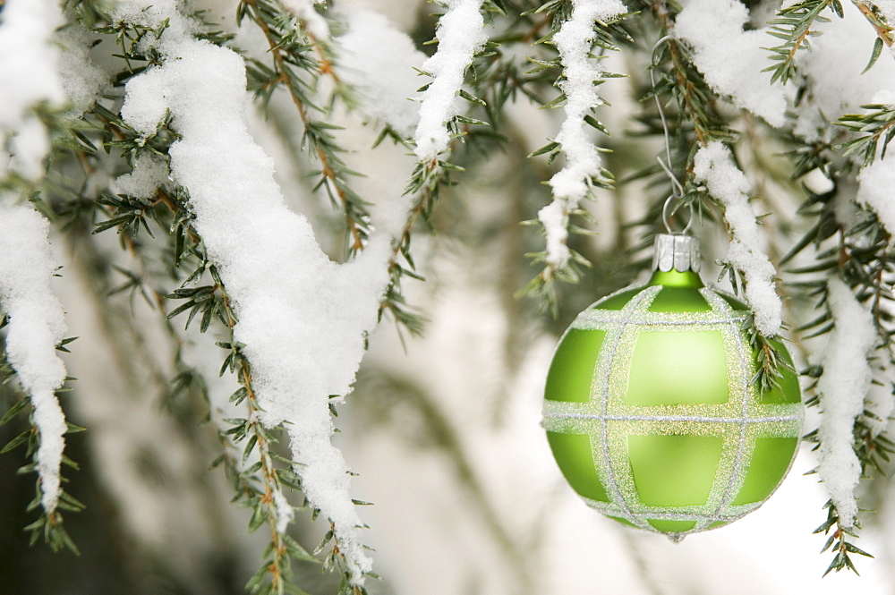 One Christmas ornament hanging in tree