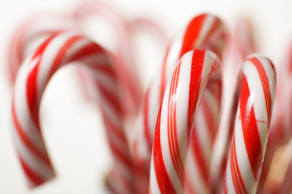 Closeup of candy canes