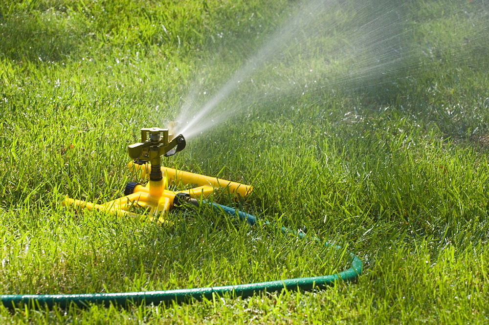 Sprinkler on a green lawn