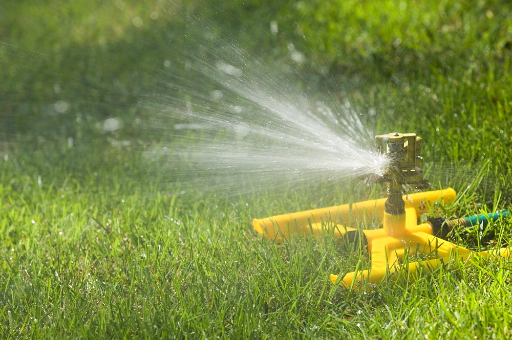 Sprinkler on a green lawn