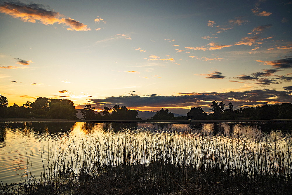 USA, Utah, Salem, Rushes at lakeshore at dusk