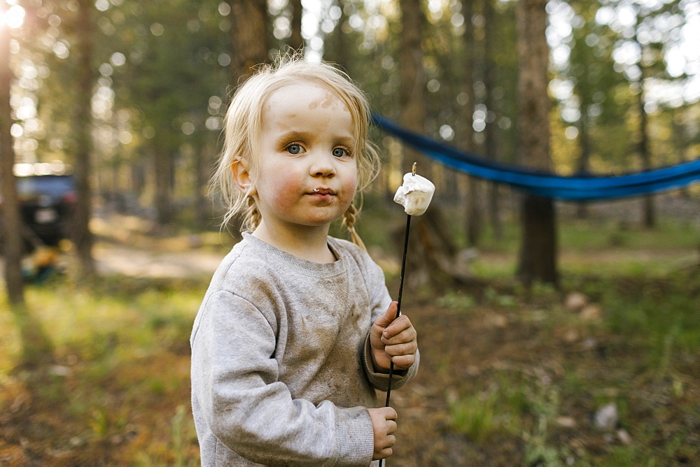 Portrait of girl (2-3) with marshmallow on stick in forest, Wasatch-Cache National Forest