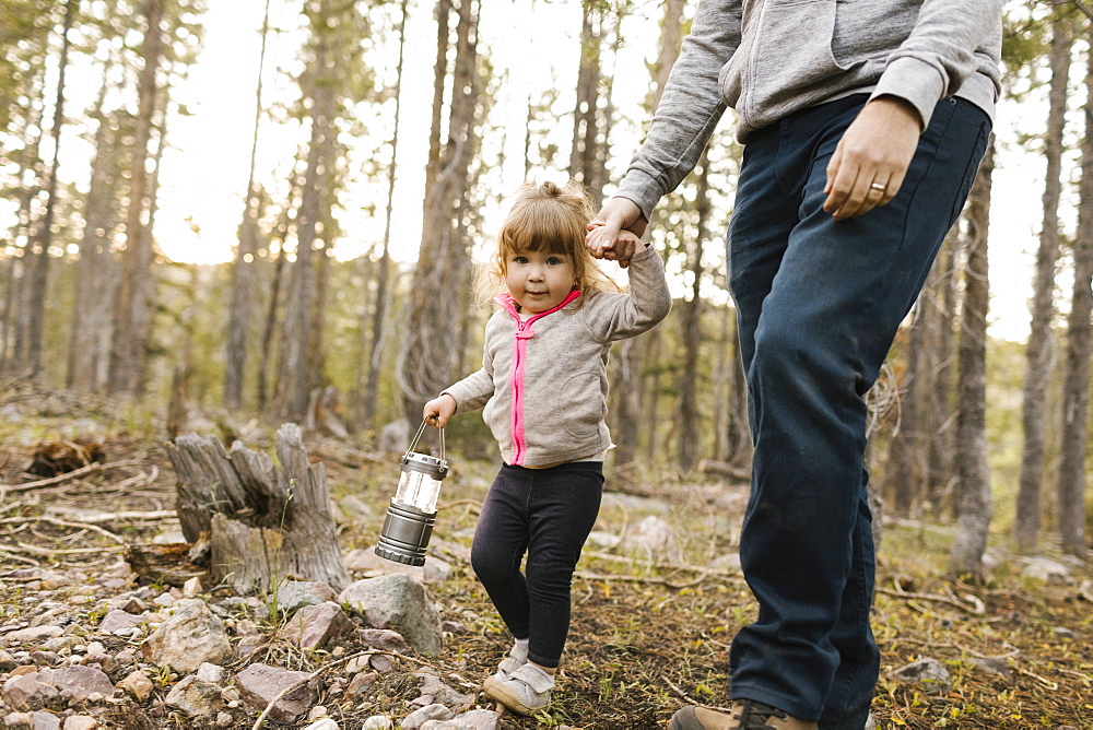 Father with daughter (2-3) walking in forest, Wasatch Cache National Forest