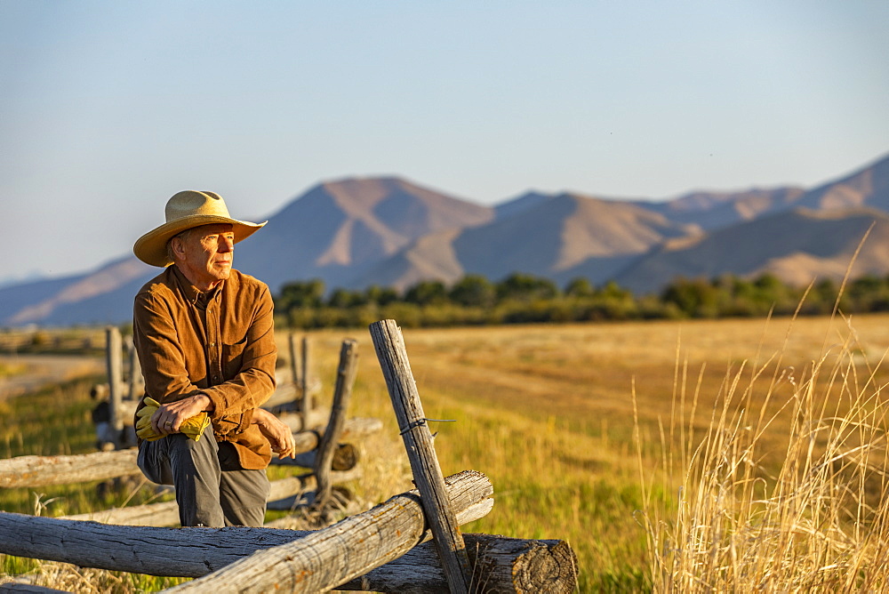 USA, Idaho, Bellevue, Rancher leaning against fence on field