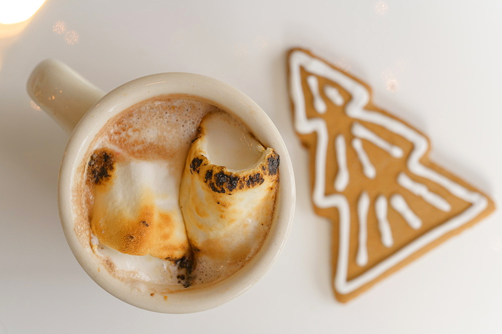 Hot cocoa with gingerbread cookie