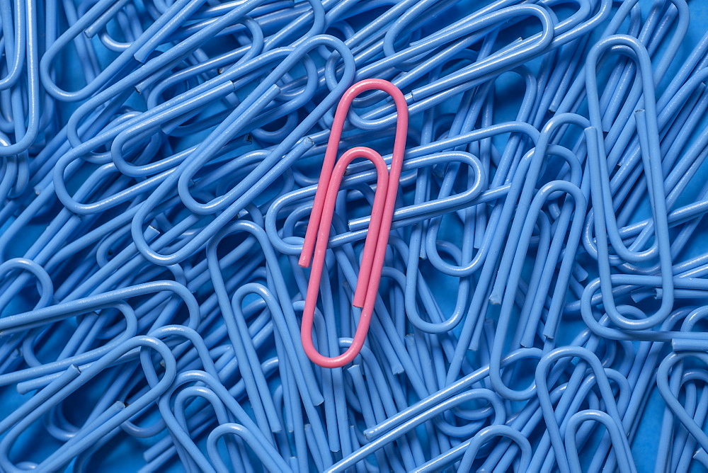 Pink paper clip on pile of blue paper clips