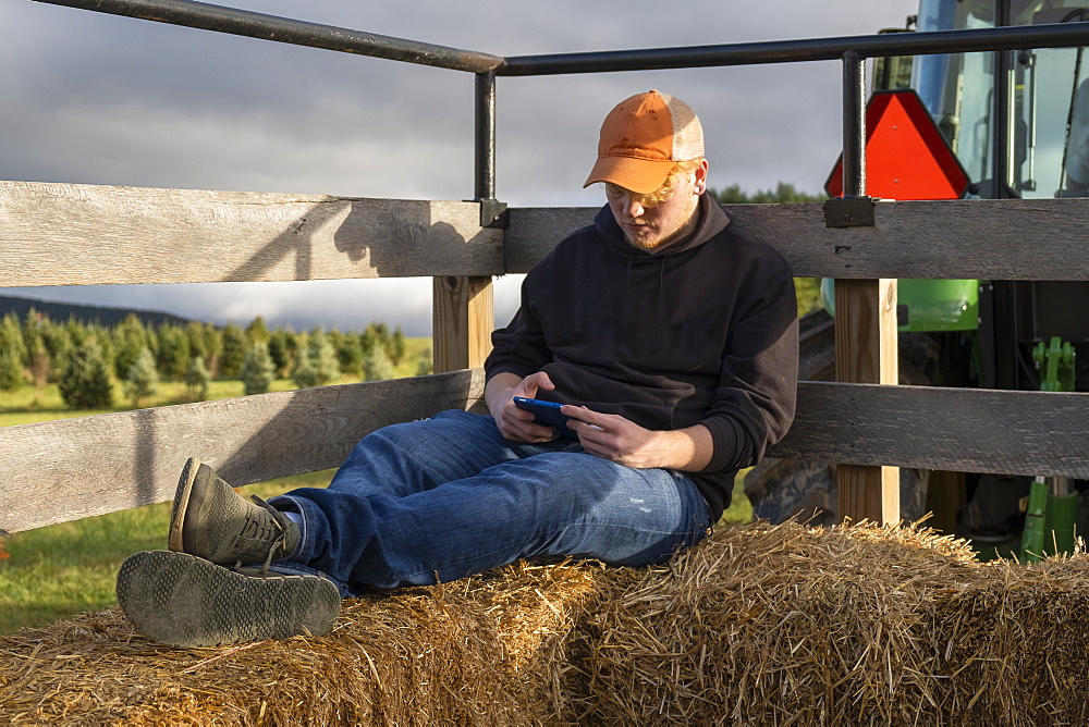 United States, Virginia, Young man resting on hay on tractor trailer
