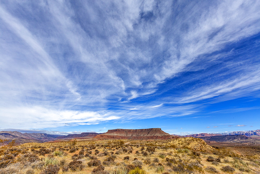 United States, Utah, Springdale, Distant mesa Zion National Park