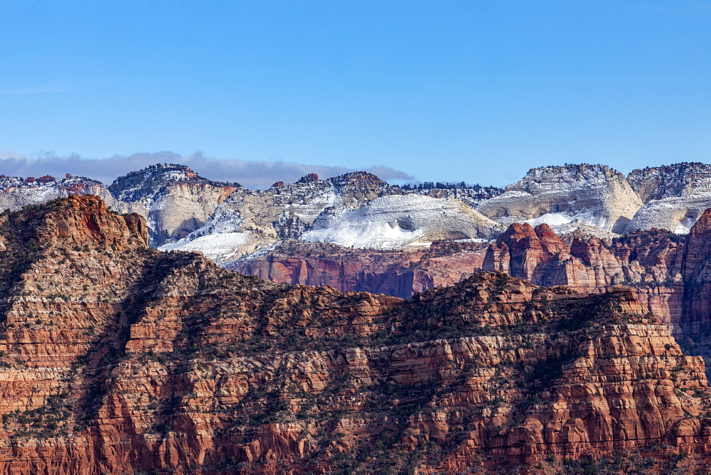 United States, Utah, Zion National Park, Kolob Terrace section of Zion National Park