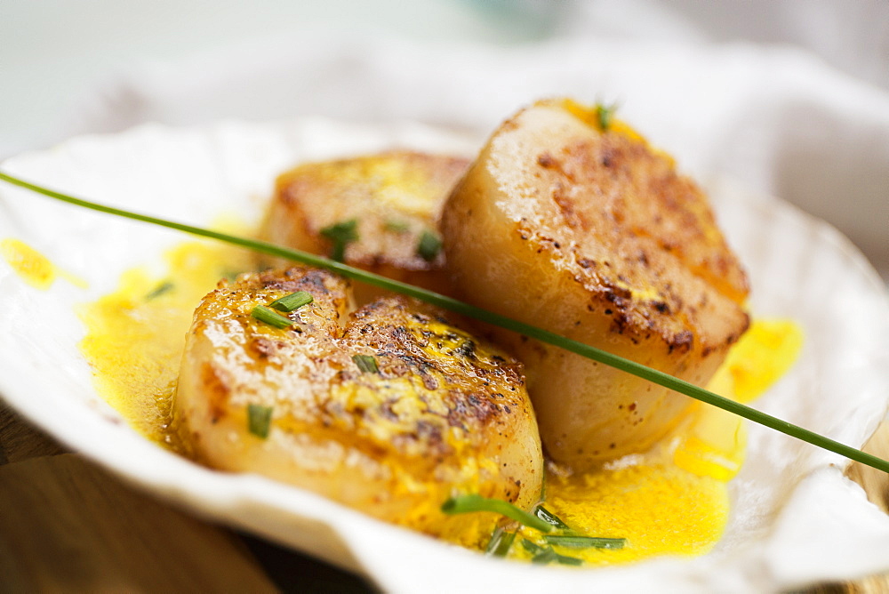 Scallops in butter sauce in seashell