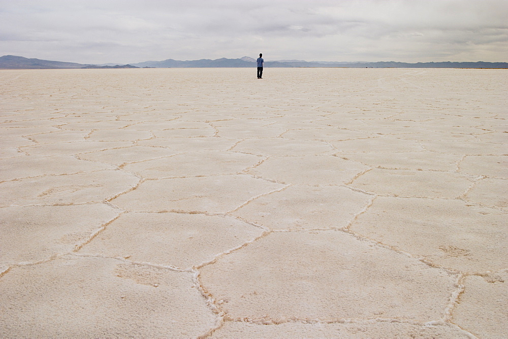 Person standing on salt flat, looking at view, rear view, Salar de Arizaro, Salta Province, Argentina