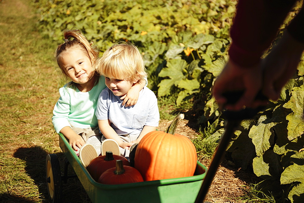 Brother and sister being pulled in pumpkin cart