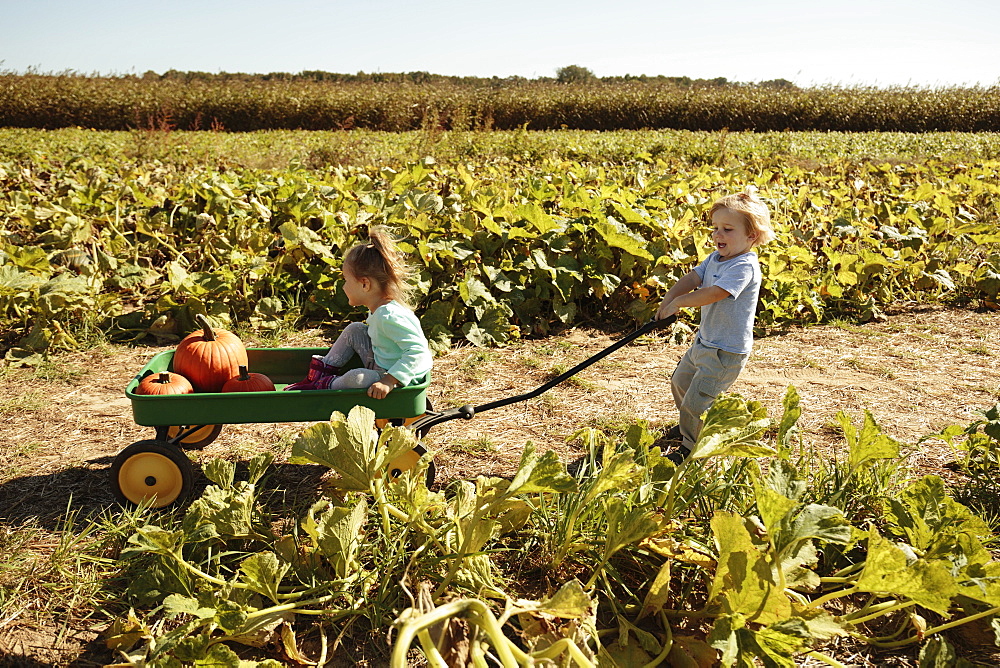 Brother pulling sister in pumpkin cart