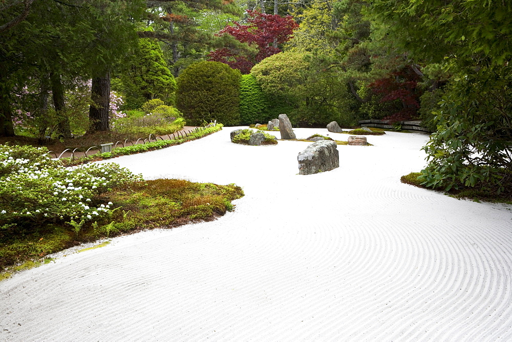 Zen garden