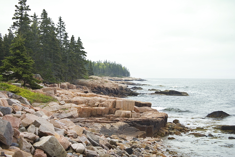 The Maine coast