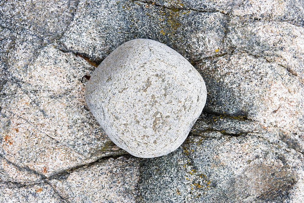 Boulder on the Maine coast