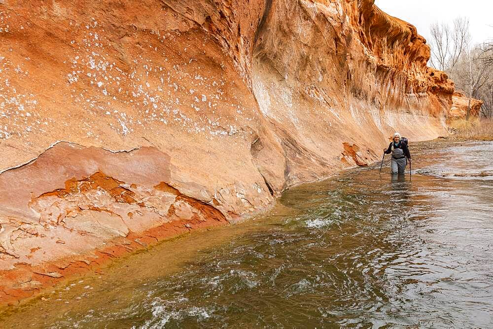 USA, Utah, Escalante, Woman wading across Escalante River in Grand Staircase-Escalante National Monument