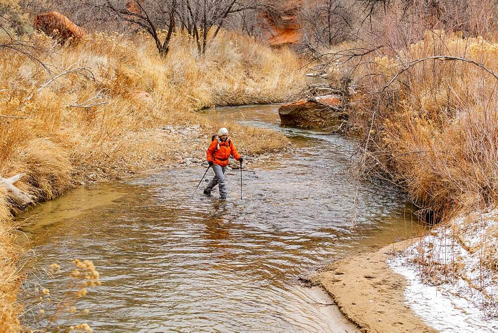 USA, Utah, Escalante, Woman wading across Escalante River in Grand Staircase-Escalante National Monument