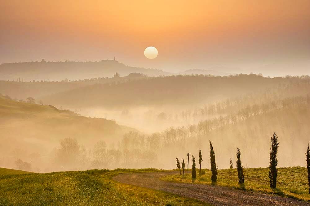 Italy, Tuscany, Val D'Orcia, Pienza, Hills and dirt road covered with mist at sunrise