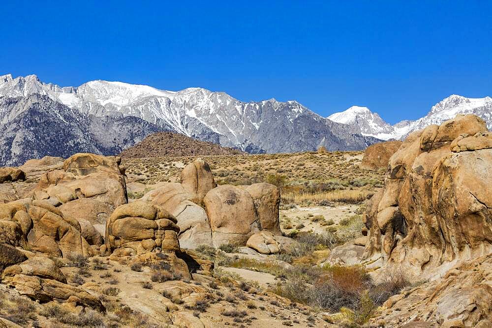 USA, California, Lone Pine, Alabama Hills rock formations and snowcapped Mount Whitney in Sierra Nevada Mountains