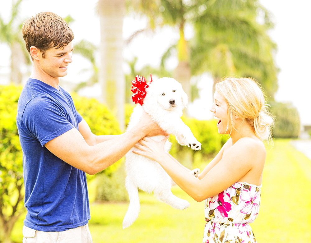 Boyfriend giving white puppy with ribbon bow to girlfriend as present, Jupiter, Florida