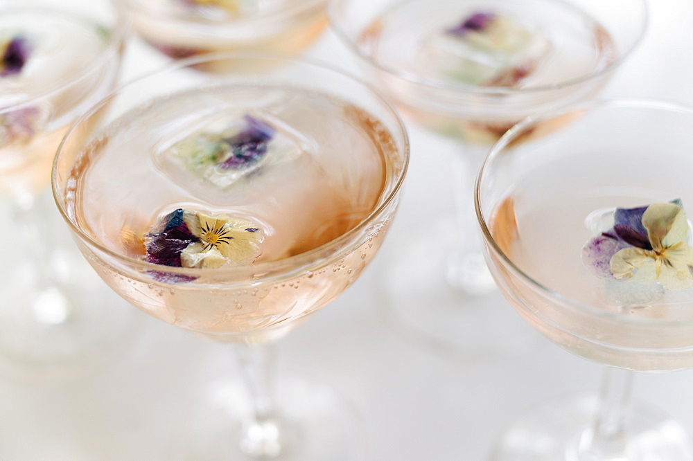 Sparkling rose wine with edible flower garnish