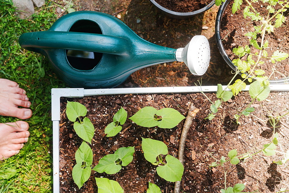 Woman standing barefoot next to raised garden bed